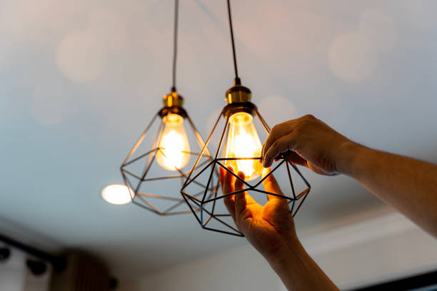 Best Electric Panel Repair  in La Grange Park, IL