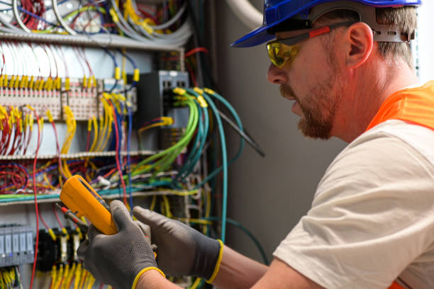 Best Electric Panel Repair  in La Grange Park, IL